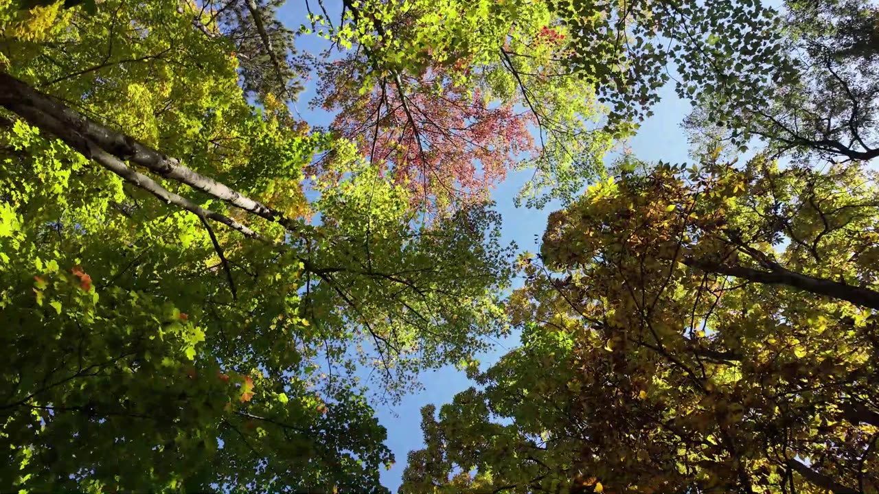 Exploring the Finger Lakes National Forest