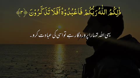 Beshak 💯♥️✨🕊️