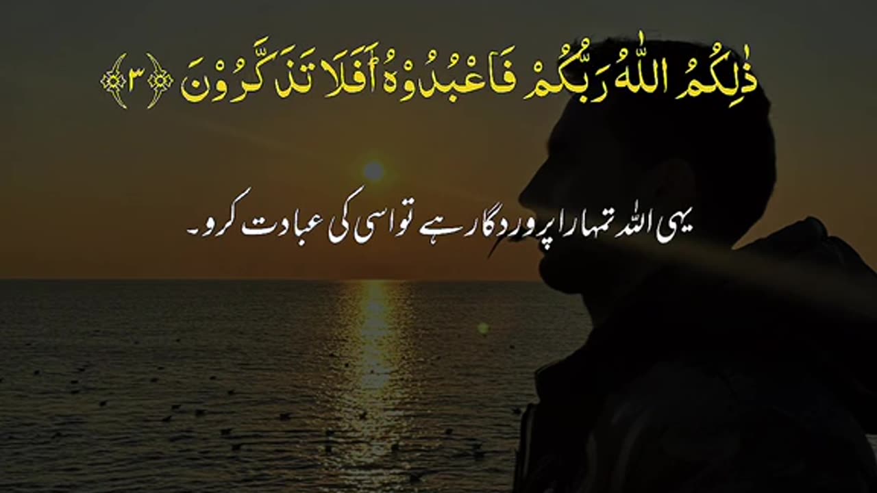 Beshak 💯♥️✨🕊️