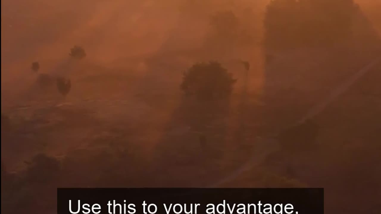 Daily Horoscope | Leo 🌟