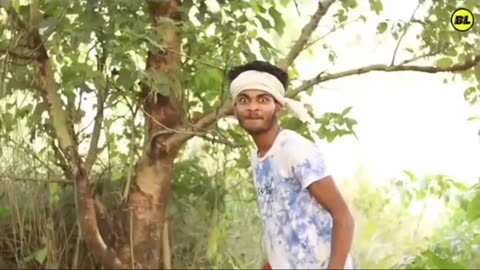 Funny video