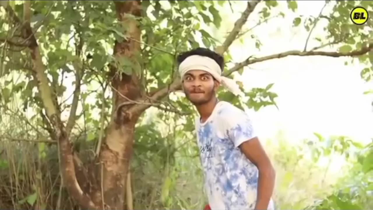 Funny video