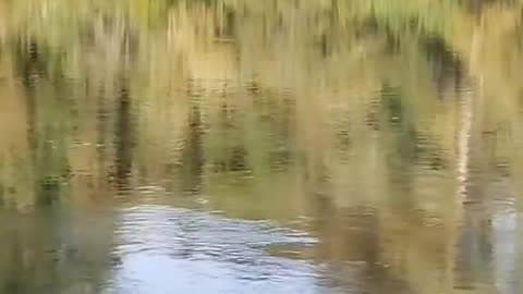 Never tire of flowing.