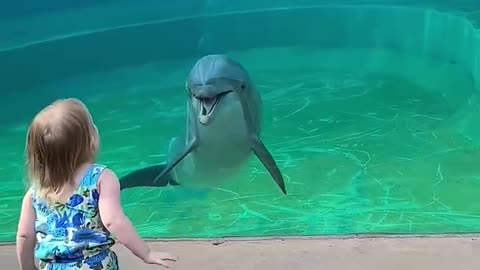 between the little girl and the dolphin