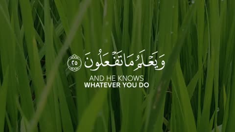 🔥 Surah Ash-Shūrā 42:25 — سورة الشورى⚡😭🤍#Quran #shorts #Viral #YouTubeShorts #love #trending #short