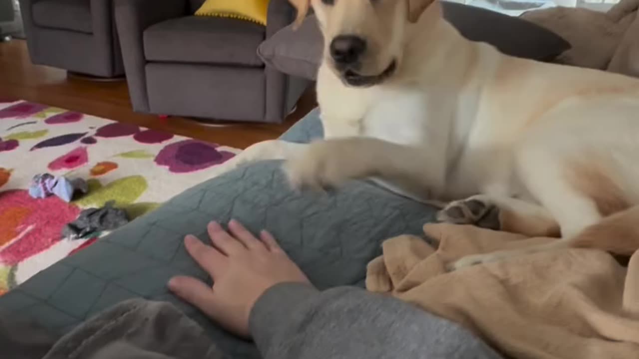 Let me win or I bite you 🤣