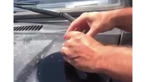 My brother tried to fry an egg on his car 😂