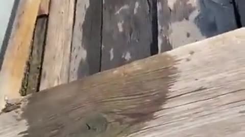😂👏 This Person Has PERFECT FORM! | FunFM