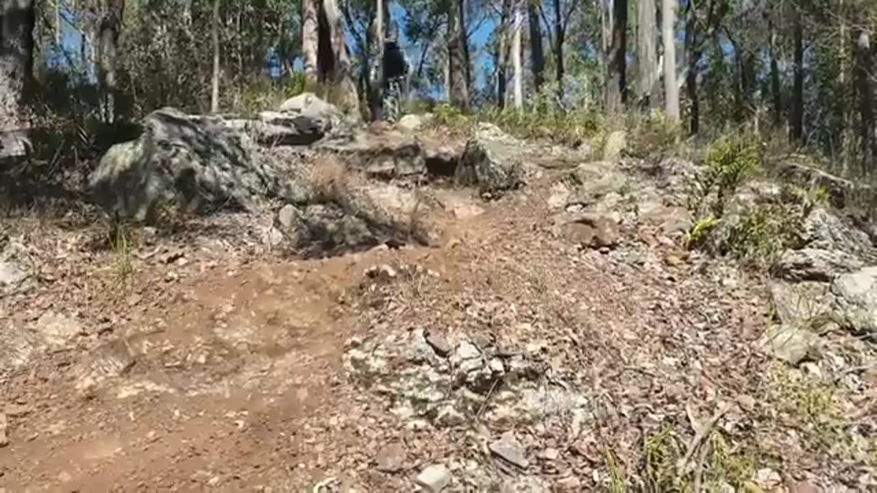 Incredible: The Best MTB Fails of 2020 | Friday Fails #150
