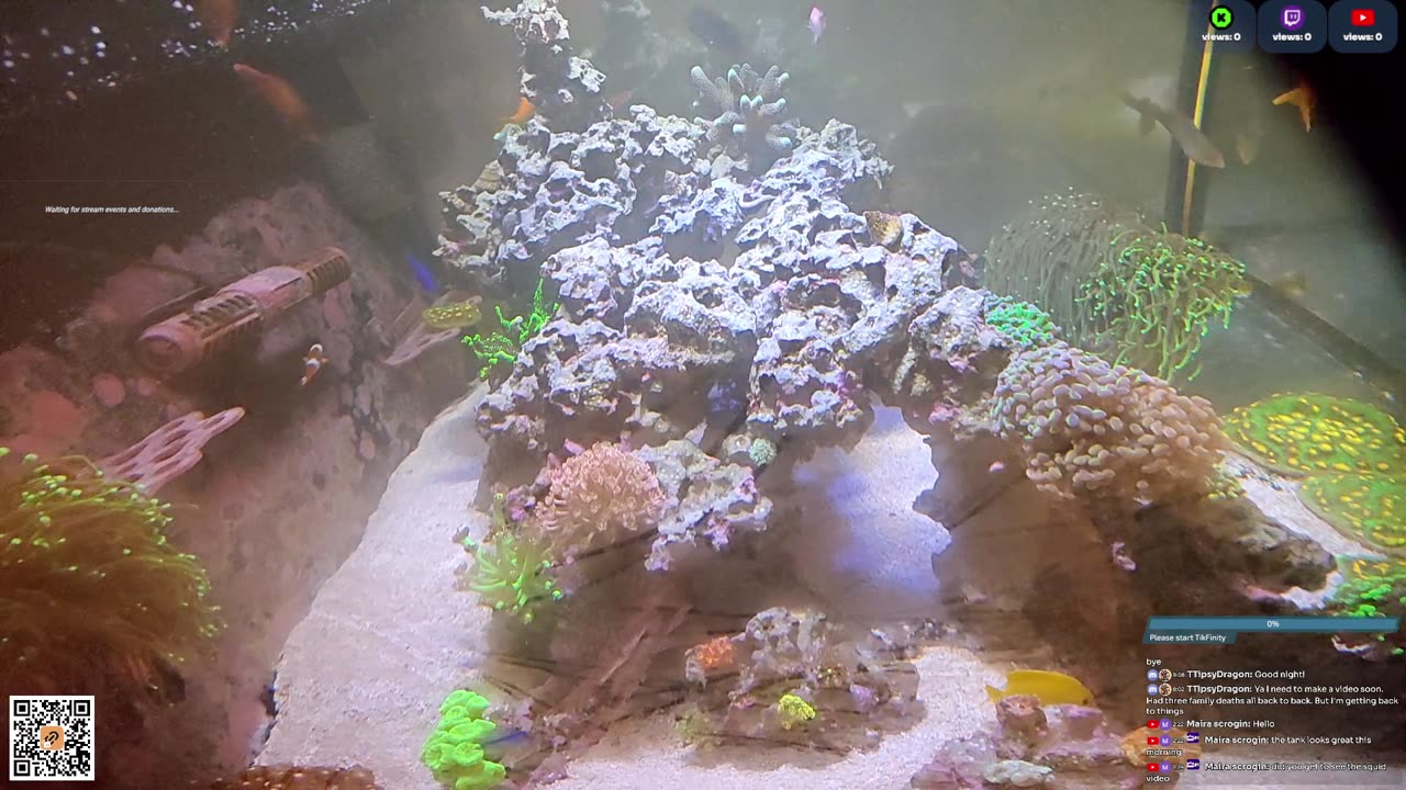 24/7 Real Live Reef Stream