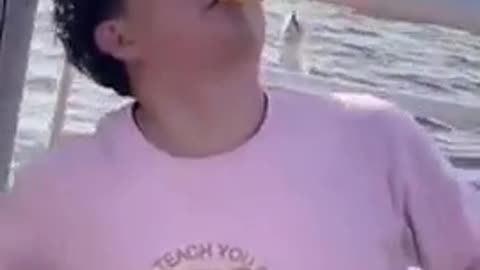 😂🐦 You Won't Believe How This Guy Feeds Pigeons! | FunFM