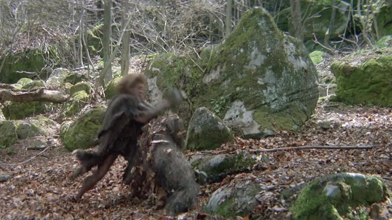 quest for fire movie