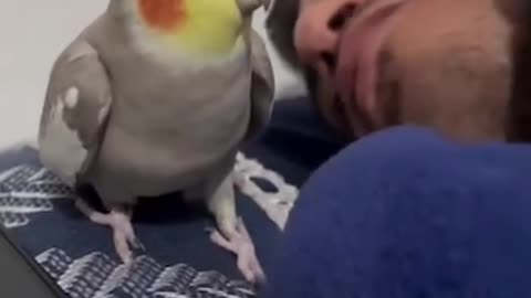 Alarm