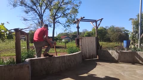 Vlog