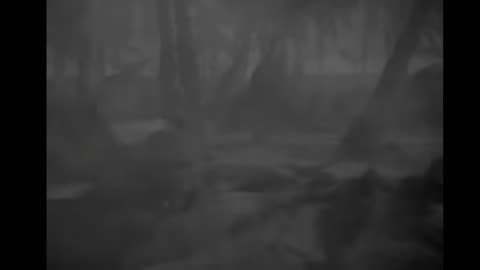 Classic War Movies