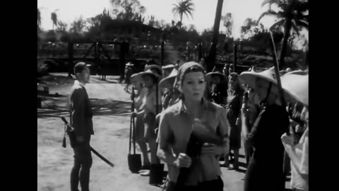 Classic War Movies