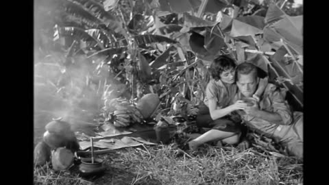 Classic War Movies