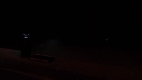 Rabbit out at night