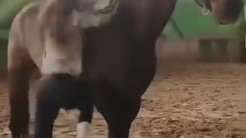 Funny