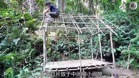 Working Alone in the Music House | Survival Vibes