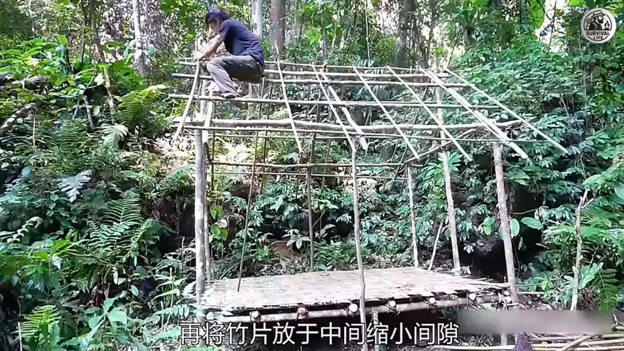 Working Alone in the Music House | Survival Vibes