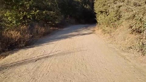 Shia, video recorded 5:50 PM August 29, '25 Part 3-3 by Alyssa Black Star Canyon Trail