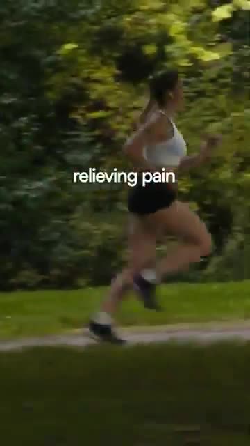 Shilajit has been shown to reduce cortisol levels