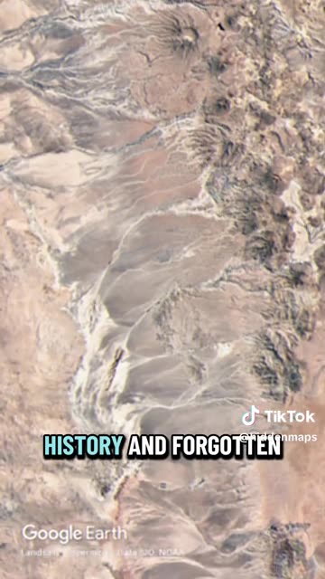 This Alien is everywhere you go 😭