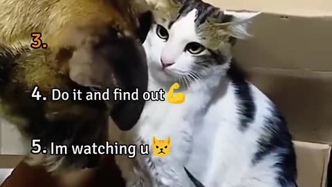 Mama cats dont play around!🐈😺