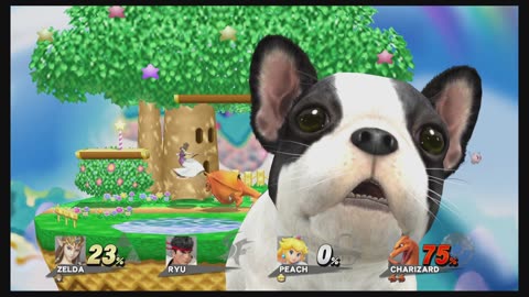 Super Smash Bros 4 Wii U Battle977