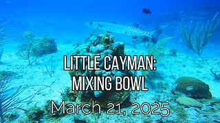 Little CayMan - Mixing Bowl - Friday, March 21, 2025