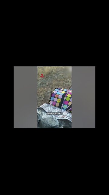 Queensland police smell secret stash in campervan on Landsborough Highway in Winton