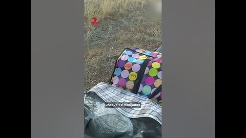 Queensland police smell secret stash in campervan on Landsborough Highway in Winton