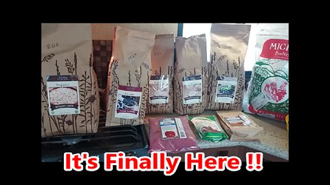 Our 1st Azure Standard Haul at our New Drop Location since Our Move ! | It was worth the wait !