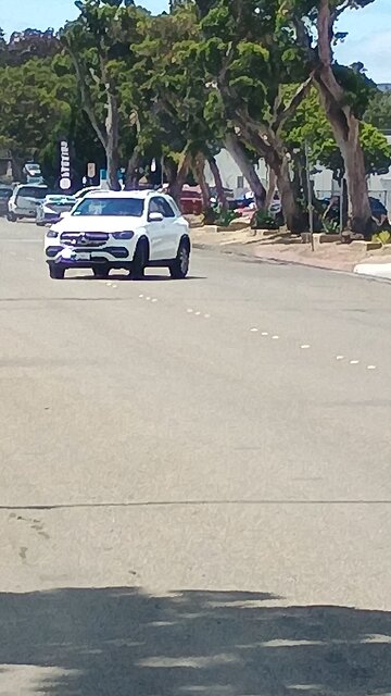 draconians are bad drivers