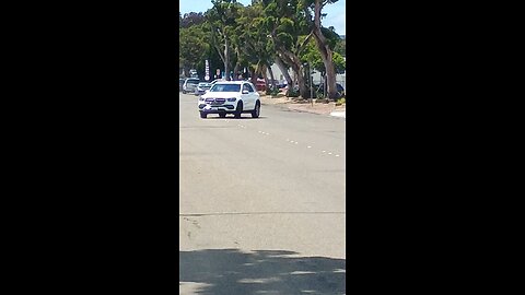 draconians are bad drivers