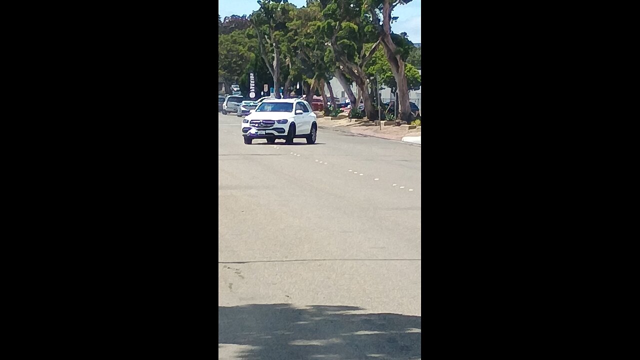 draconians are bad drivers