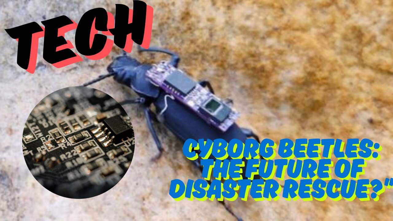 Cyborg Beetles Could Be Unlikely Heroes in Future Disaster Rescues
