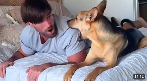 When Dogs Are Being Silly with Their Humans 🤣 Funny Dog and Human