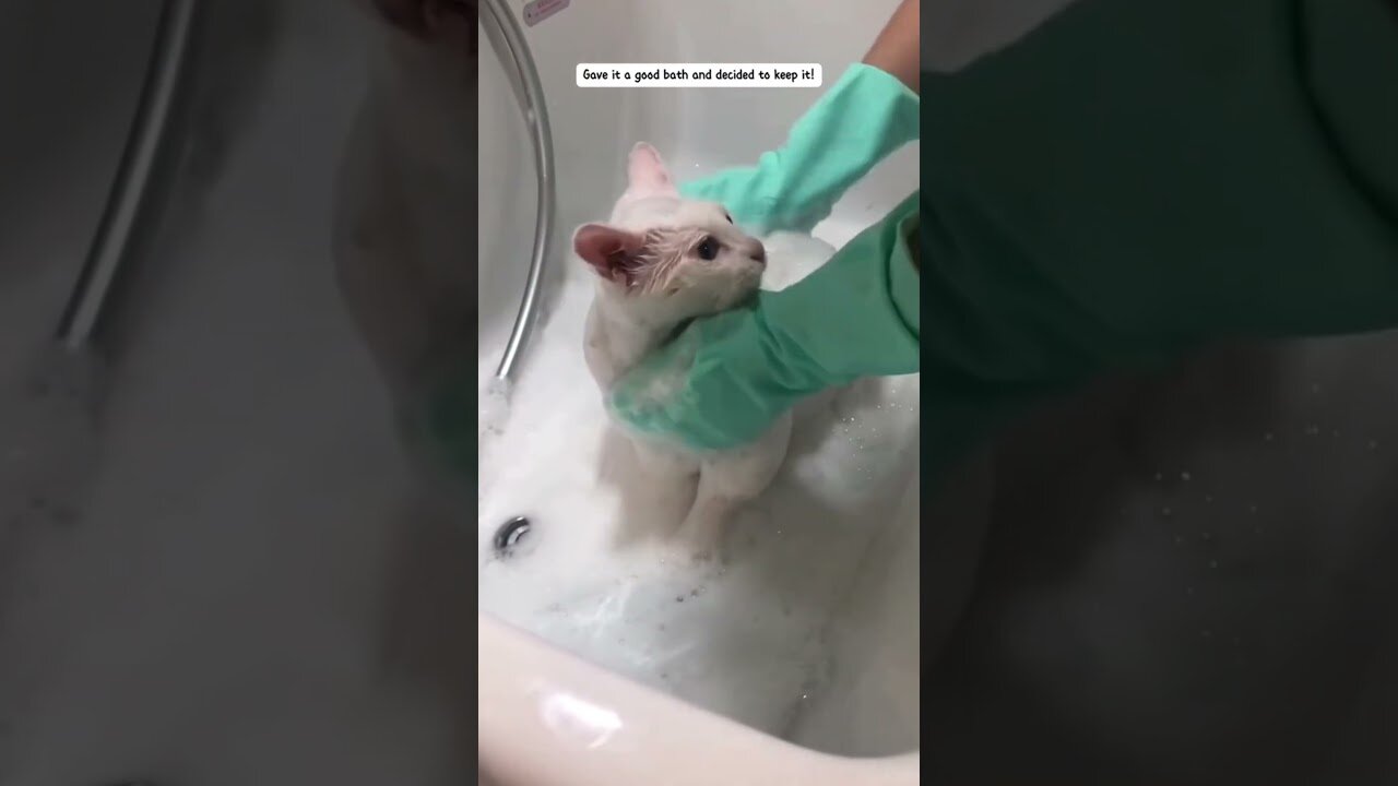 The man heard a noise under the hood and when he opened it he was shocked