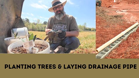 Planting Trees & Laying Drainage Pipe