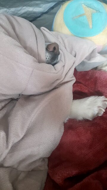 20260209. The river of the water of life.