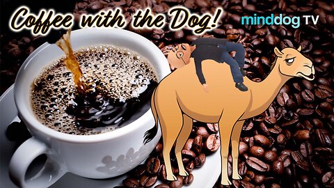 Broken Hump Day - EP892