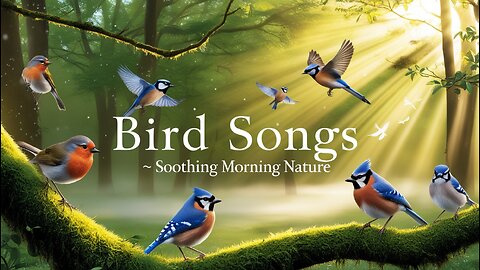 Bird Songs in Forest 🌲 Soothing Morning Nature Sounds | Relaxing Birds Chirping for Peace