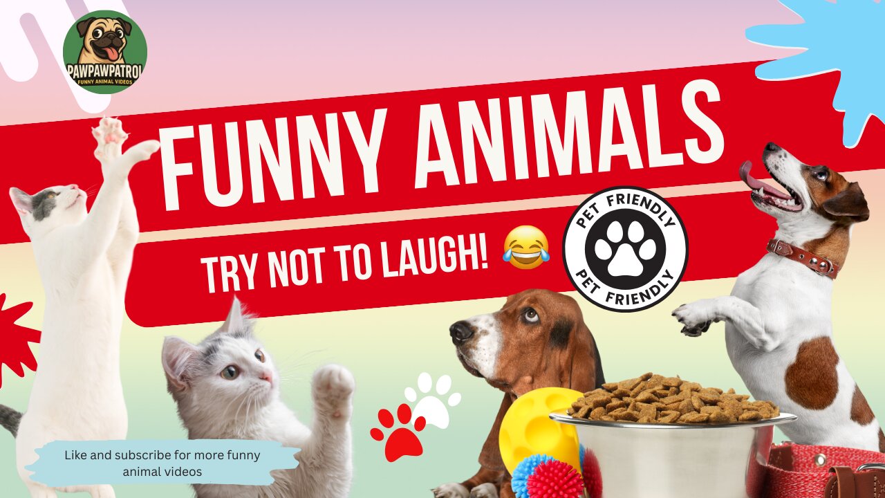 Funny animals! Try Not To Laugh!!!