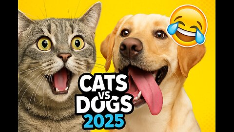 Funny animals - Funny cats _ dogs | Funny animal videos 2025