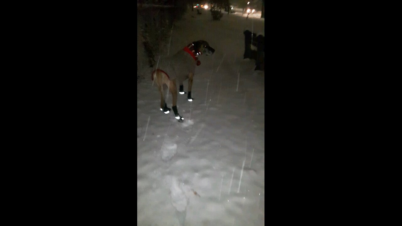 Canada Kenny