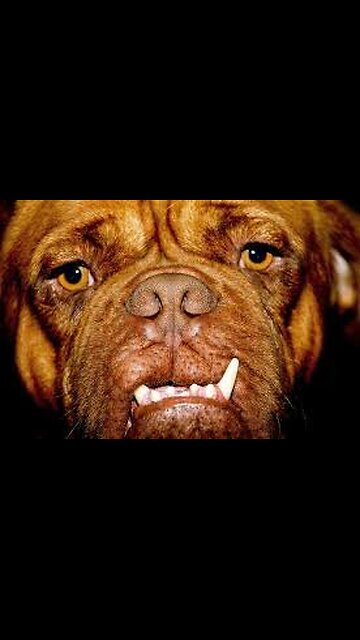 "A Face Full of Dissatisfaction 😒 | Mood We All Know"