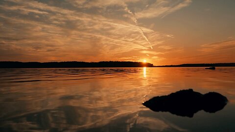 “QUOTE OF THE DAY”