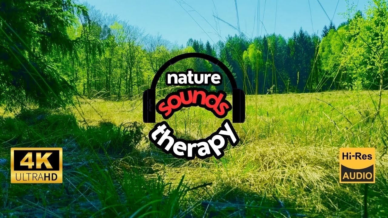 Magic of the Polish Forest; Cuckoo, Morning Birdsong & Roe Deer Bark Relaxing Nature Sounds